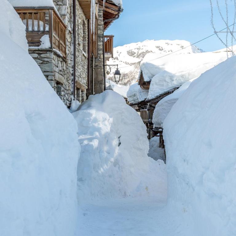 Appartement de style montagnard dans chalet rustique, au cœur du vieux village et aux pieds des pistes - FR-1-694-73 - Apartment - 18