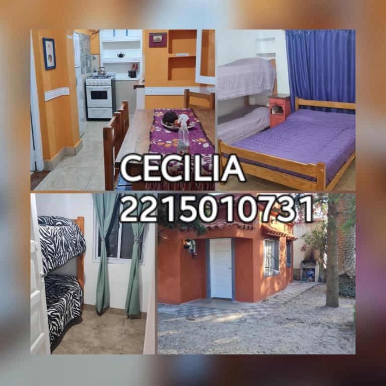 Cecilia San Clemente - Two-Bedroom House - 4