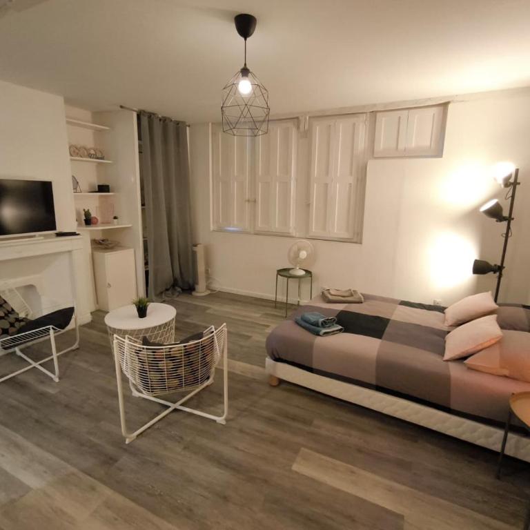 Studio lumineux hyper centre - quartier Bourgogne - Orléans - Studio - 1