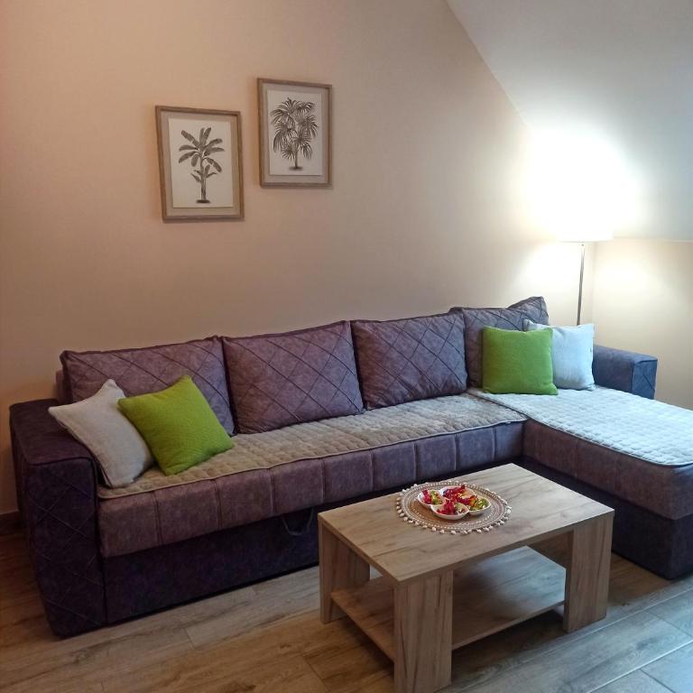 Apartman Maksimović Divčibare - Apartman s 1 Spavaćom Sobom i Terasom - 46