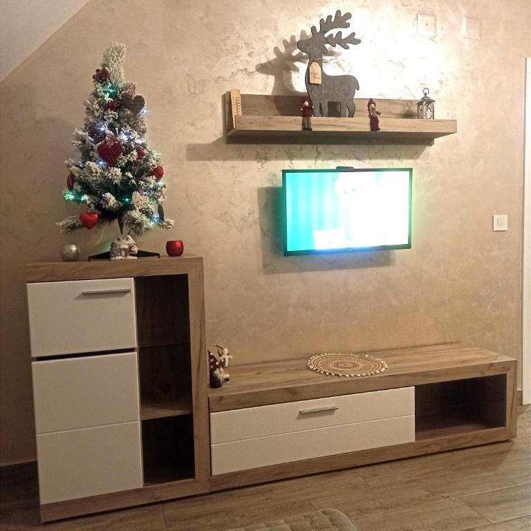 Apartman Maksimović Divčibare - Apartman s 1 Spavaćom Sobom i Terasom - 49