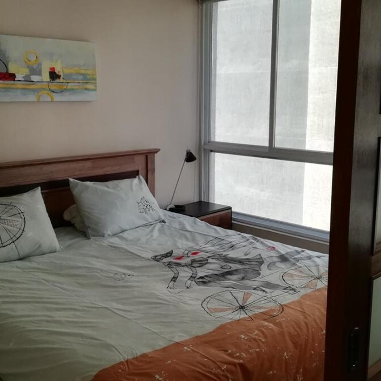 Nice downtown apartment with 1 bedroom - One-Bedroom Apartment - 11
