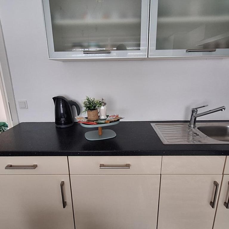 Panorama City Apartment - Obiteljski apartman sa dvije spavaće sobe s pogledom - 18