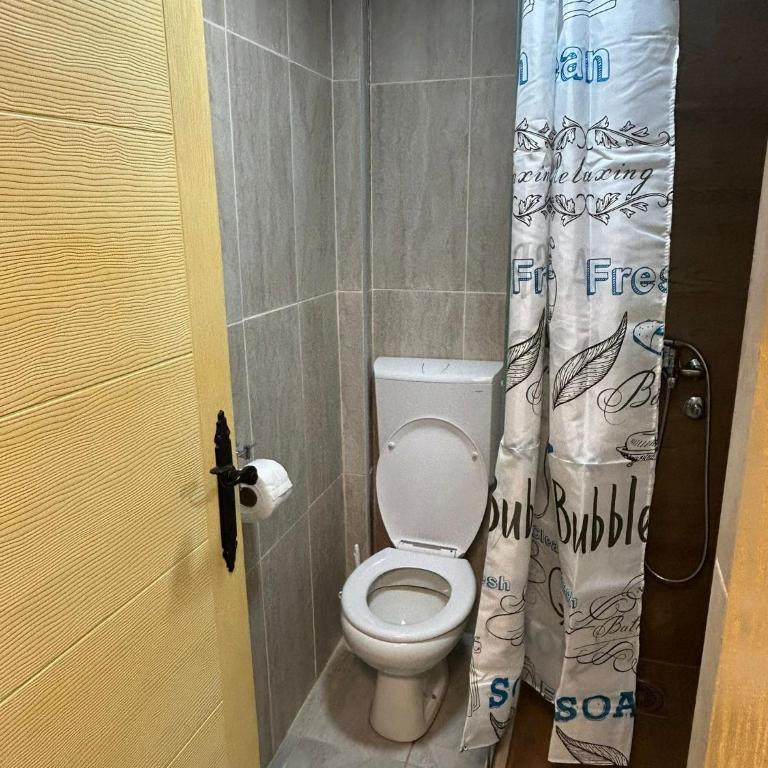 Vikendica Vila Despotovic - Villa - 34
