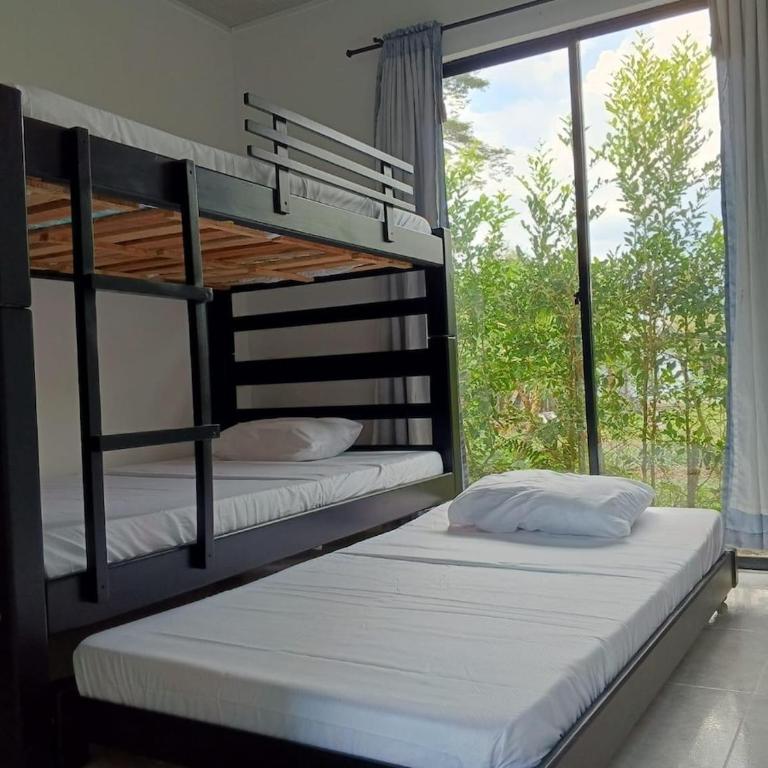 Hermosa casa campestre a solo 7 minutos de la ciudad, con piscina privada - Four-Bedroom House - 13