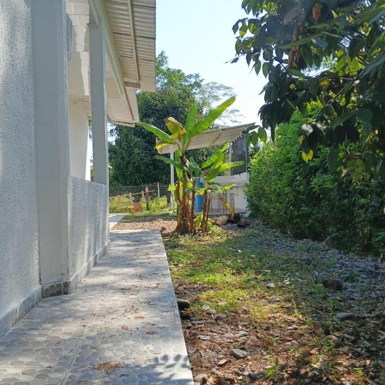 Hermosa casa campestre a solo 7 minutos de la ciudad, con piscina privada - Four-Bedroom House - 19