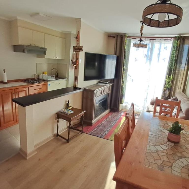 Alojamiento Villarrica - Apartamento - 1