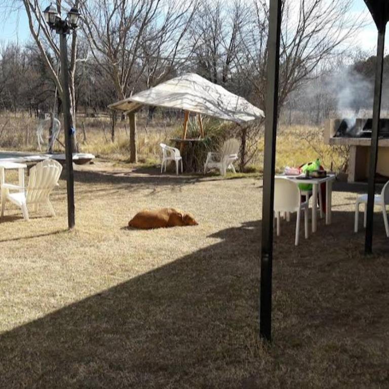 LAS CIMAS APART HOTEL, nono traslacierra - Apartamento de 2 dormitorios - 6