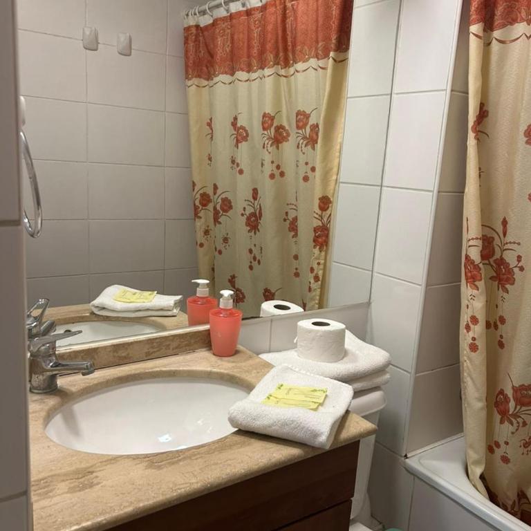 Santiago centro - One-Bedroom Apartment - 4