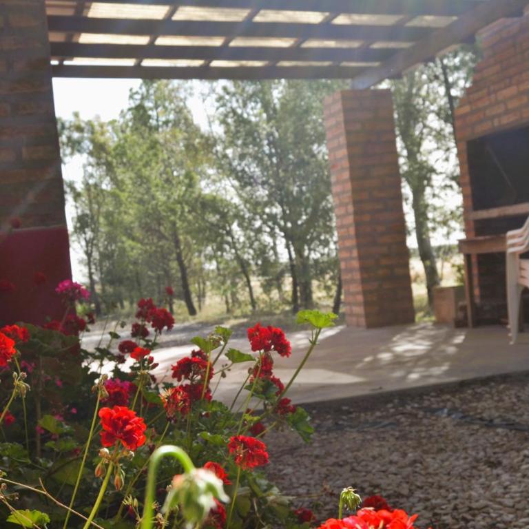 Cabañas Ruka Leufú - Apartamento de 1 dormitorio - 11