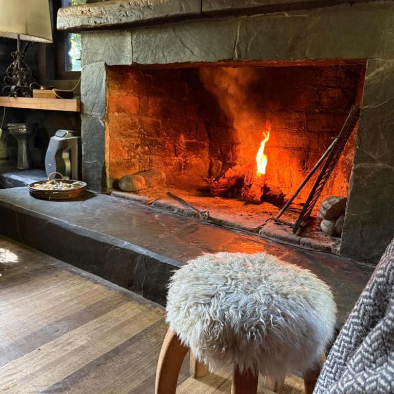 Cabañas Ser Patagonia - Casa de 4 dormitorios - 20