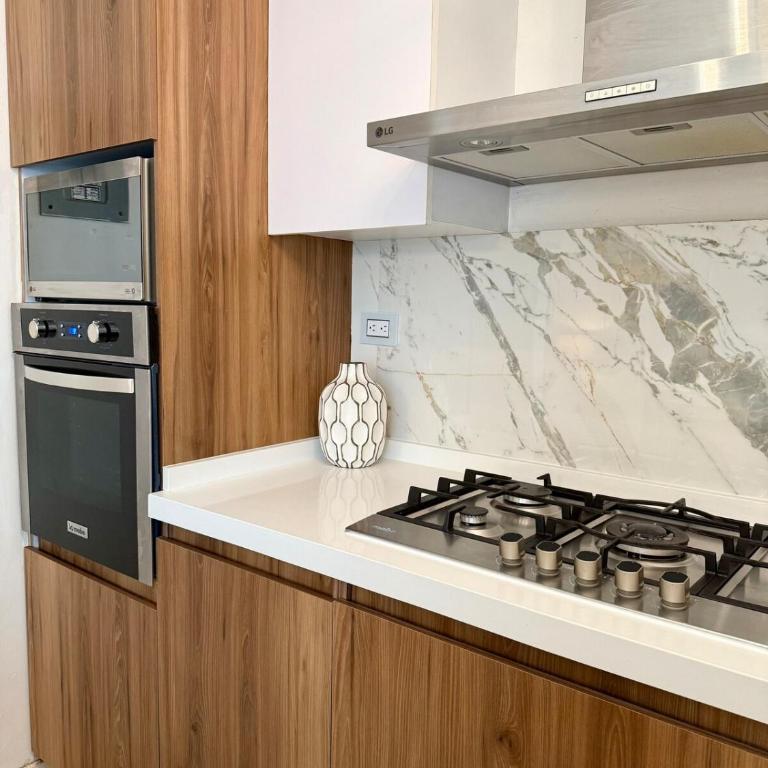 Hermosa casa en Santa Catarina, a 9 minutos del consulado,15 minutos fundidora, paseo Santa Lucía, cómoda, ubicación privilegiada, gym, equipada - Two-Bedroom House - 61