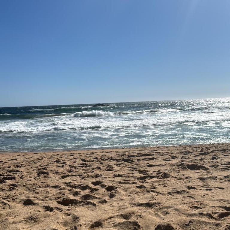 Exclusive Reñaca, 2d2b1E a short walk from sector 5 - Two-Bedroom Apartment - 22