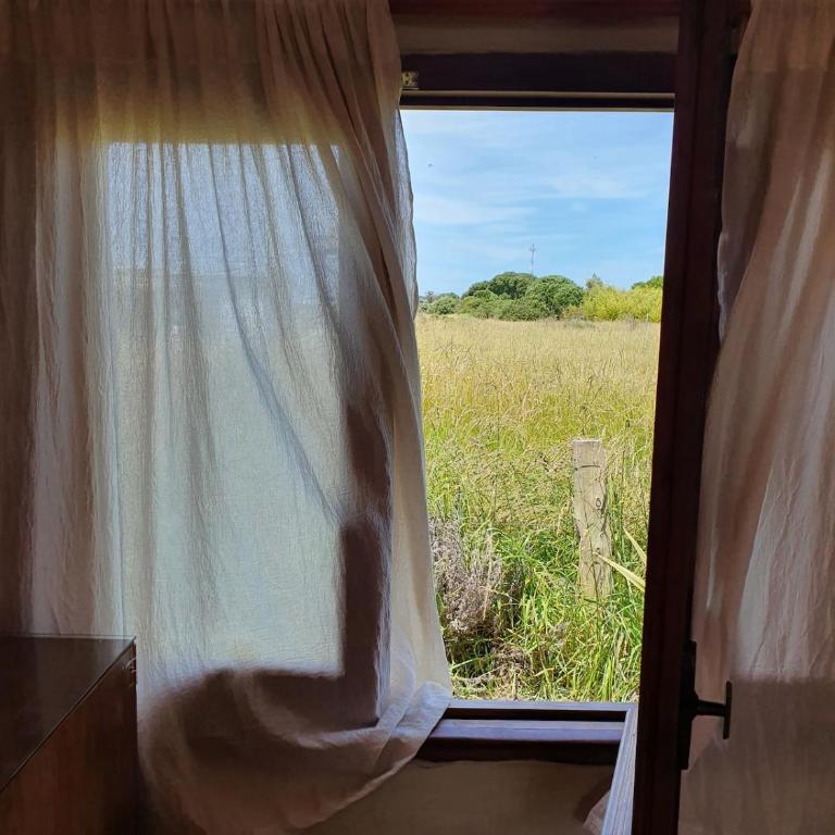 Casa Angiru - Four-Bedroom House - 2