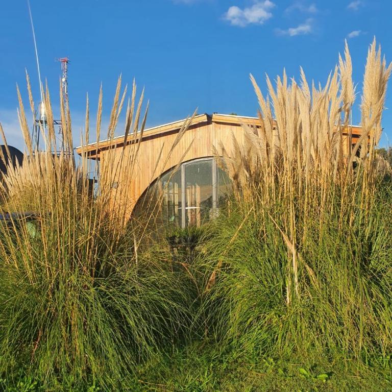 Casa Angiru - Four-Bedroom House - 14
