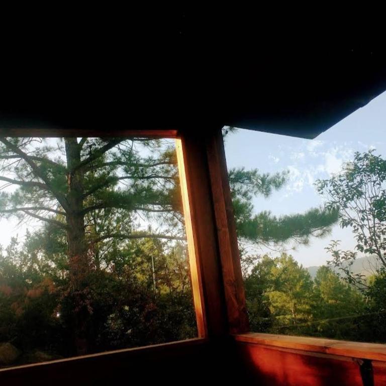 Cabañas La Escondida - Apartamento de 2 dormitorios - 4