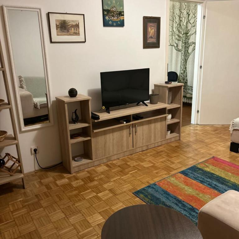 Apt 1944 - One-Bedroom Apartment - 6