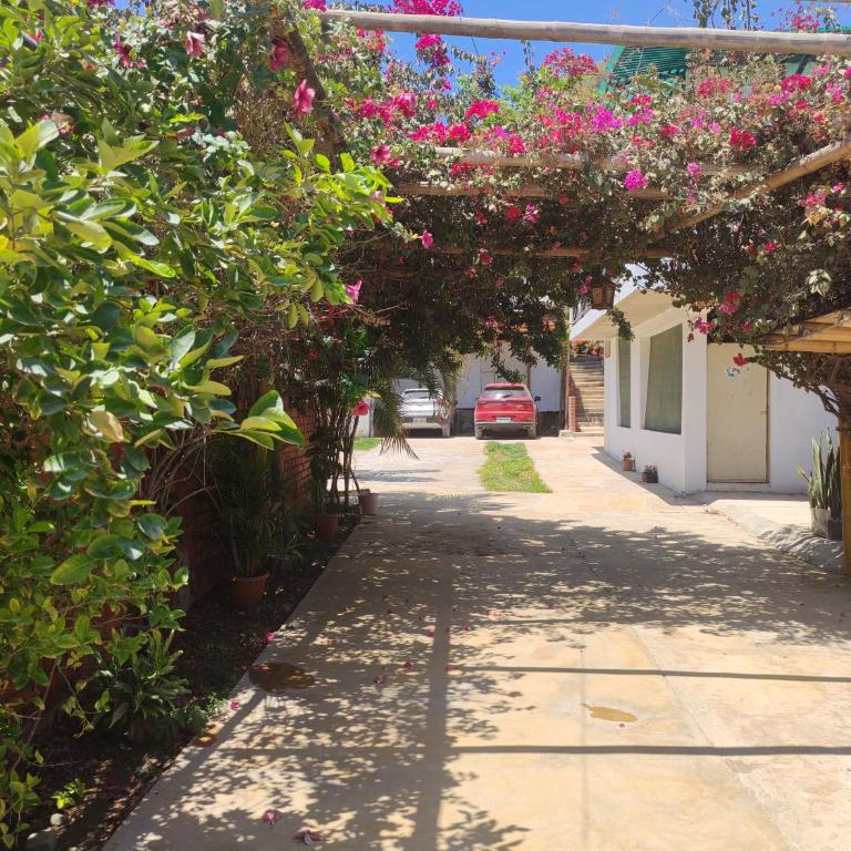 Villa Naylamp loft7 playa pocitas - One-Bedroom Apartment - 11