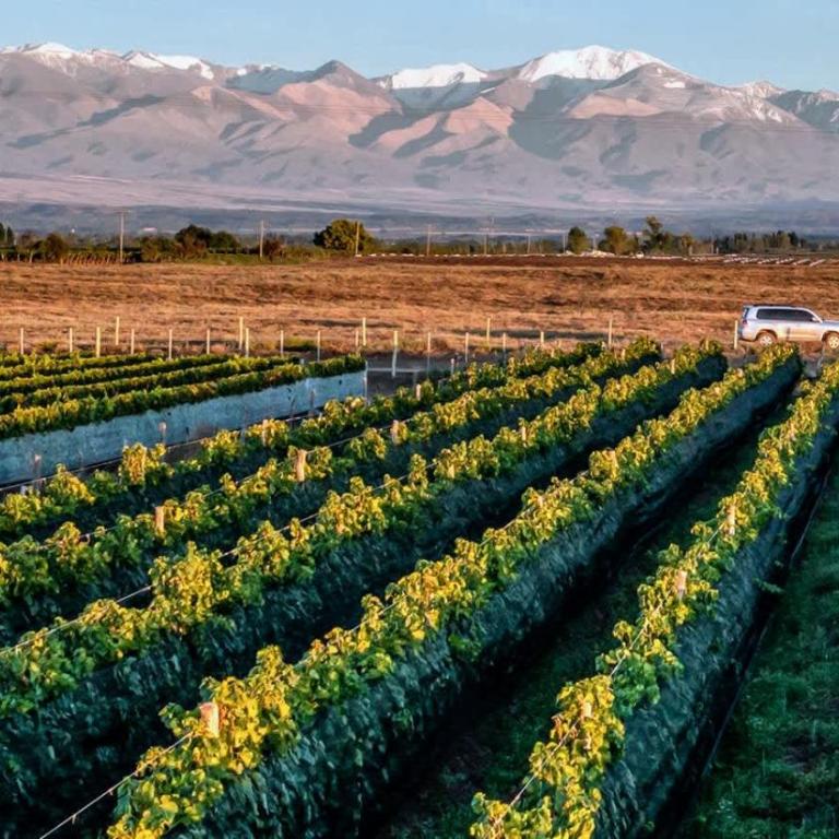 MOT Wine Country 3 Bd Villa Tupungato - Villa - 1
