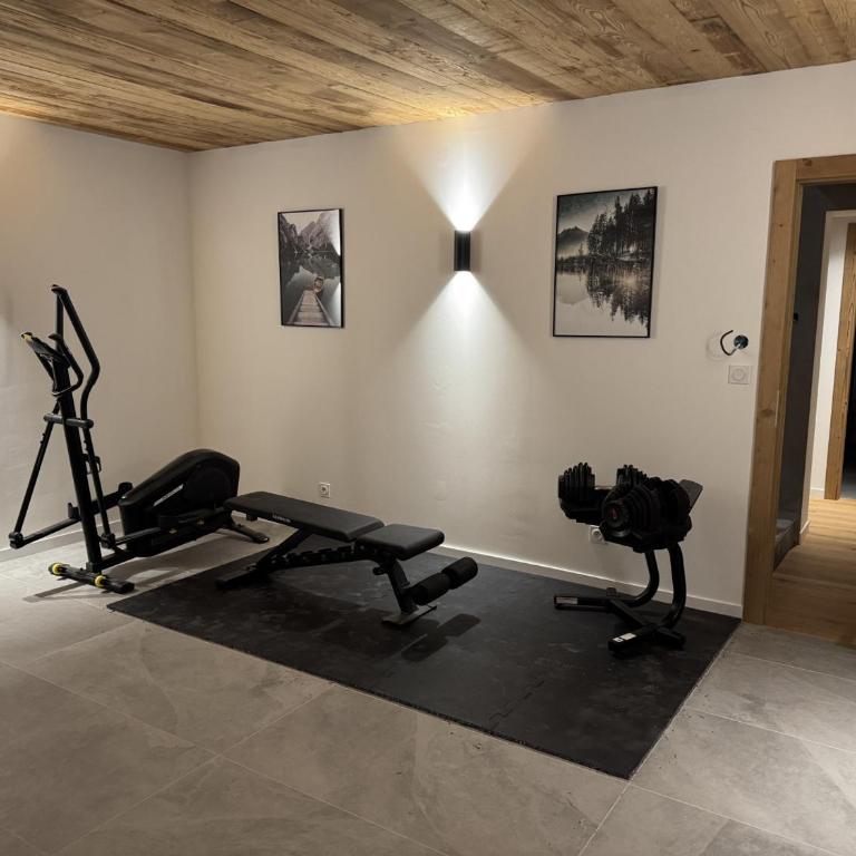 Chalet de luxe avec sauna et jacuzzi aux Gets - 14 personnes - FR-1-671-308 - Chalet - 28
