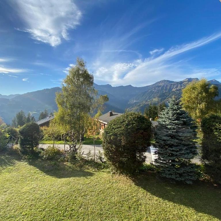 Chalet spacieux de 130 m² à Crest-Voland avec navette skieur - FR-1-733-182 - Chalet - 33