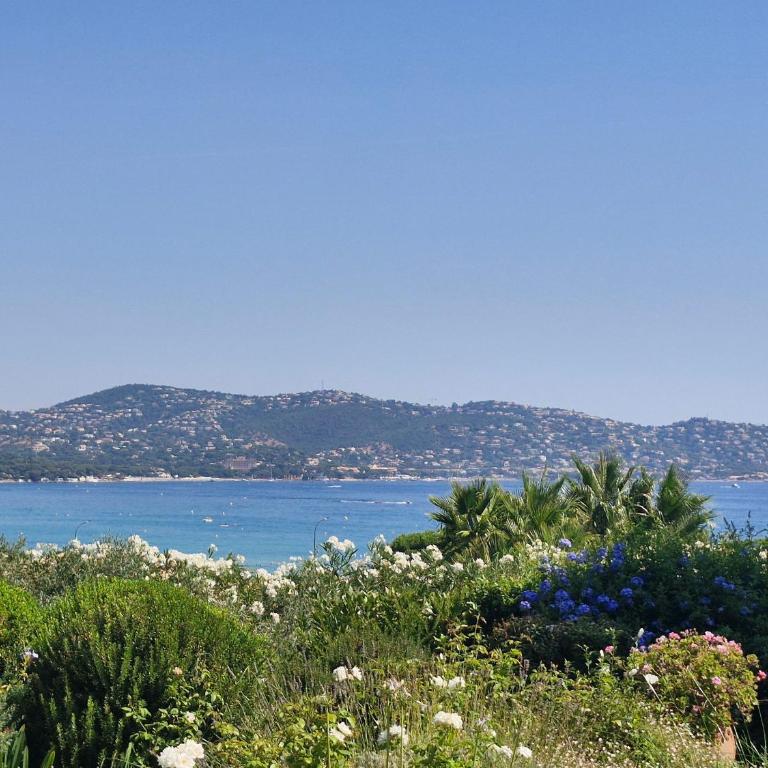 Villa 8 Pièces avec piscine privée et vue mer à Sainte-Maxime - FR-1-780-11 - Villa - 33