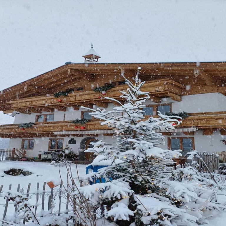 Holiday on an organic farm near ski slopes - Appartement 2 Chambres - 37