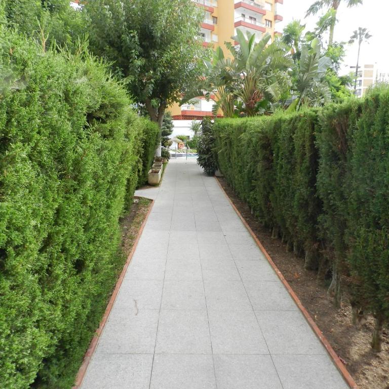 Edificio Diana - Apartamento Deluxe - 65