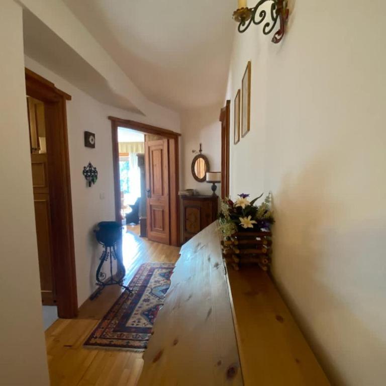 Charming ground floor flat with mountain views - Appartamento - 18