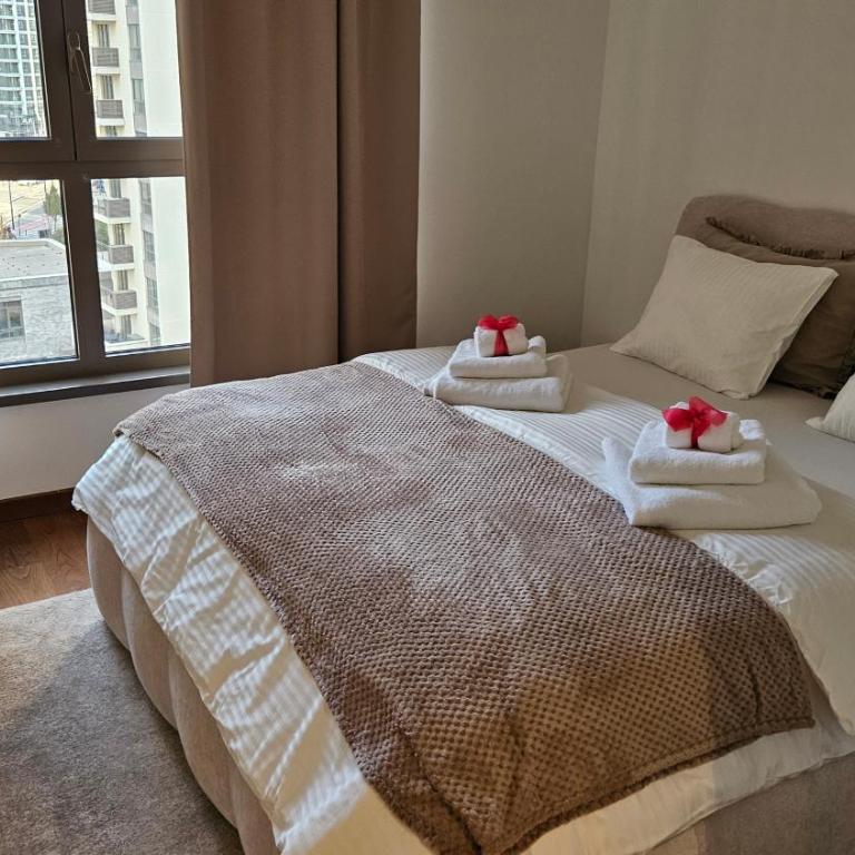 Downtown Belgrade Hostel and Apartments - Apartman sa 1 Spavaćom Sobom, Balkonom i Pogledom na Grad - 5