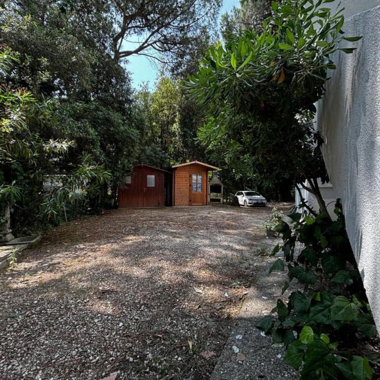 Cozy apartment in the heart of the pinewood - Villa - 27
