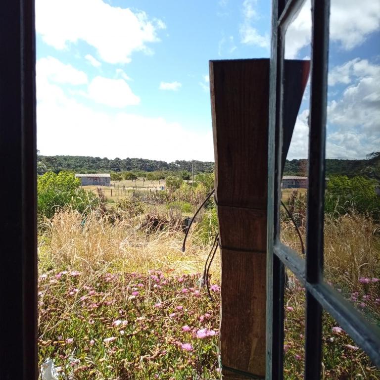 Baubo Ecocasa - Double Room with Garden View - 2