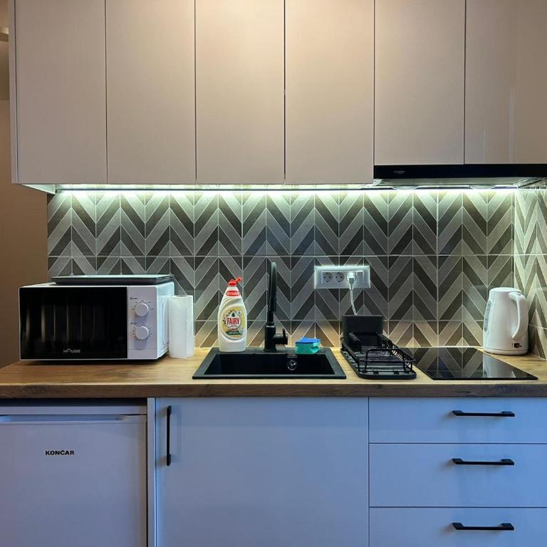 Centar Crnjanski 2 - Apartman sa 1 Spavaćom Sobom - 17
