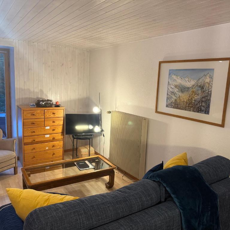 Au village d'Evolène, bel appartement avec terrasse - Apartment mit Terrasse - 4