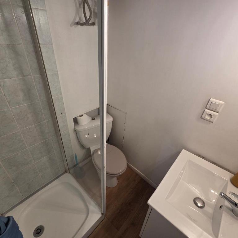 Studio proche gare et cité gastronomique - Apartamento de 1 dormitorio - 10