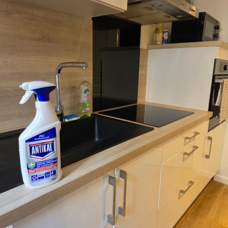 Studio proche gare et cité gastronomique - Apartamento de 1 dormitorio - 11