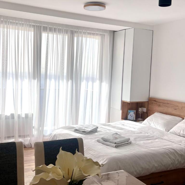 Snowflake A10 - One-Bedroom Apartment - 8
