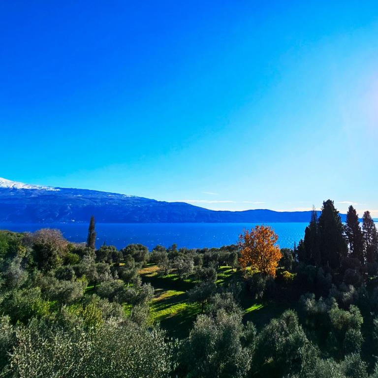 Altavista - Vista lago panoramica 180 gradi - Appartamento con 2 Camere da Letto - 32
