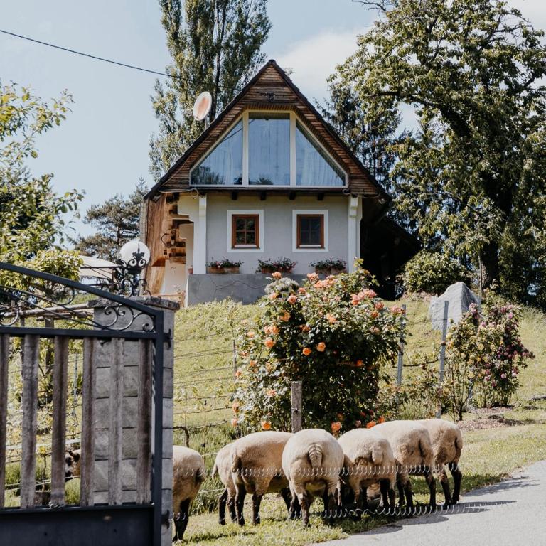 Ferienhaus am HerbstHof - Maison de Vacances - 1
