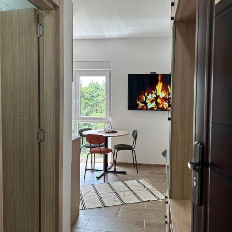 Halesa Studio - Studio-Apartment - 1