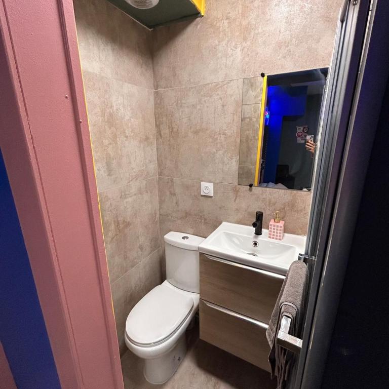 Le studio farfelu - Appartement 1 Chambre - 18