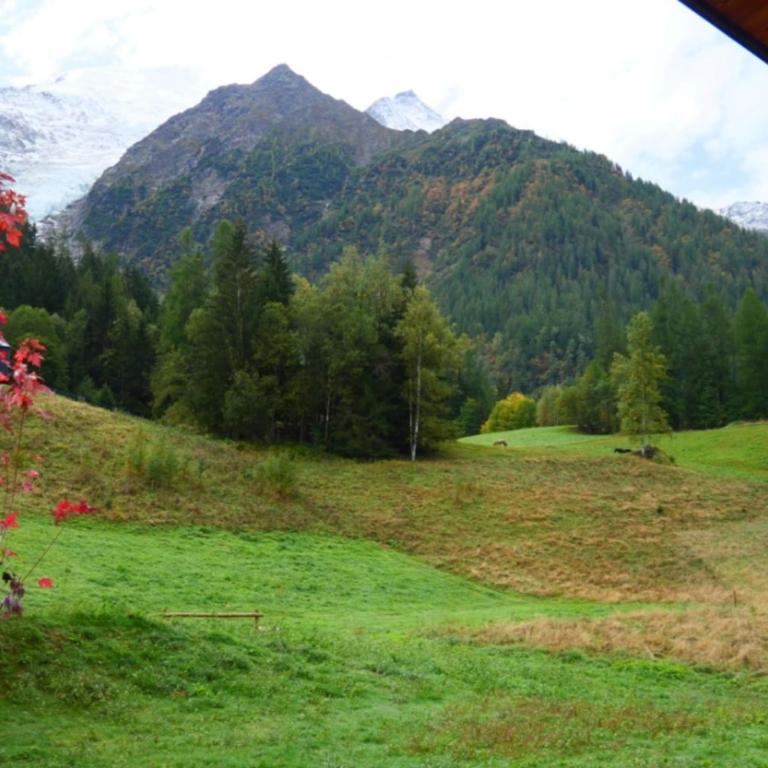 Modern Chalet With Garden Chamonix - Chalet - 31