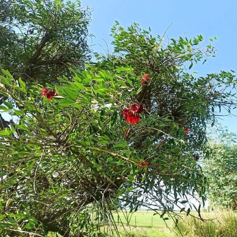 Hermosa casa de campo con jardines - estanque y piscina - Casa de 2 dormitorios - 3