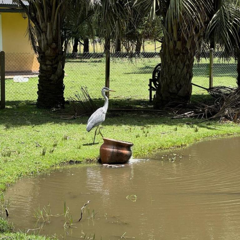 Hermosa casa de campo con jardines - estanque y piscina - Casa de 2 dormitorios - 8