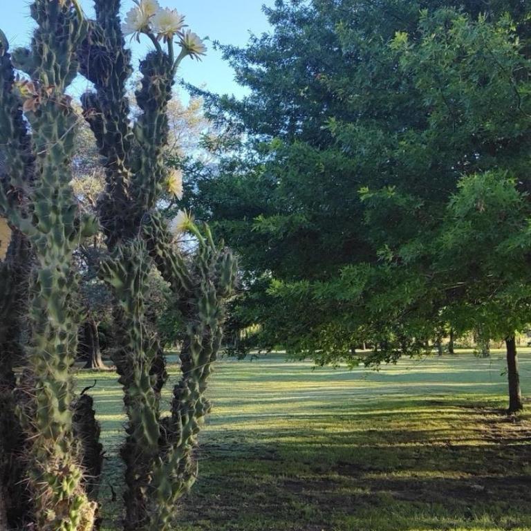 Hermosa casa de campo con jardines - estanque y piscina - Casa de 2 dormitorios - 18