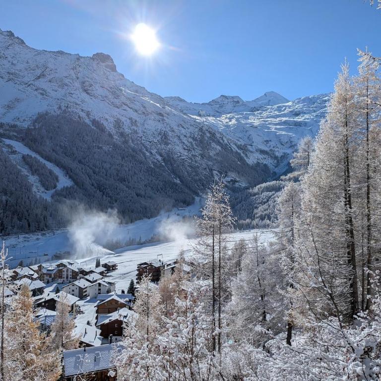 Family friendly and sunny apartment in the heart of Saas Grund - Apartment mit 2 Schlafzimmern - 10