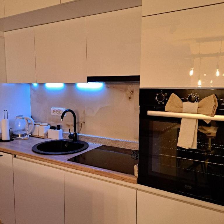 Apartman Savić - One-Bedroom Apartment - 22