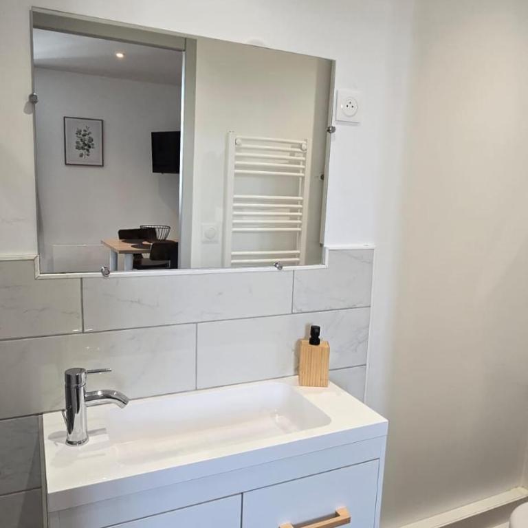 Le Comte de Saxe - Calme à Blois centre - One-Bedroom Apartment - 7