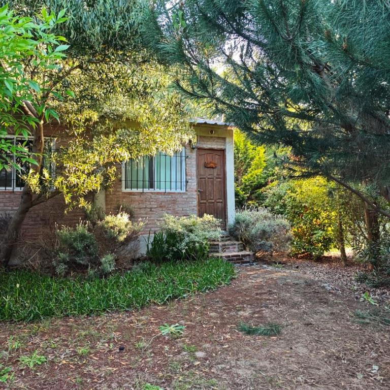 Hermoso Refugio del Bosque - One-Bedroom House - 19