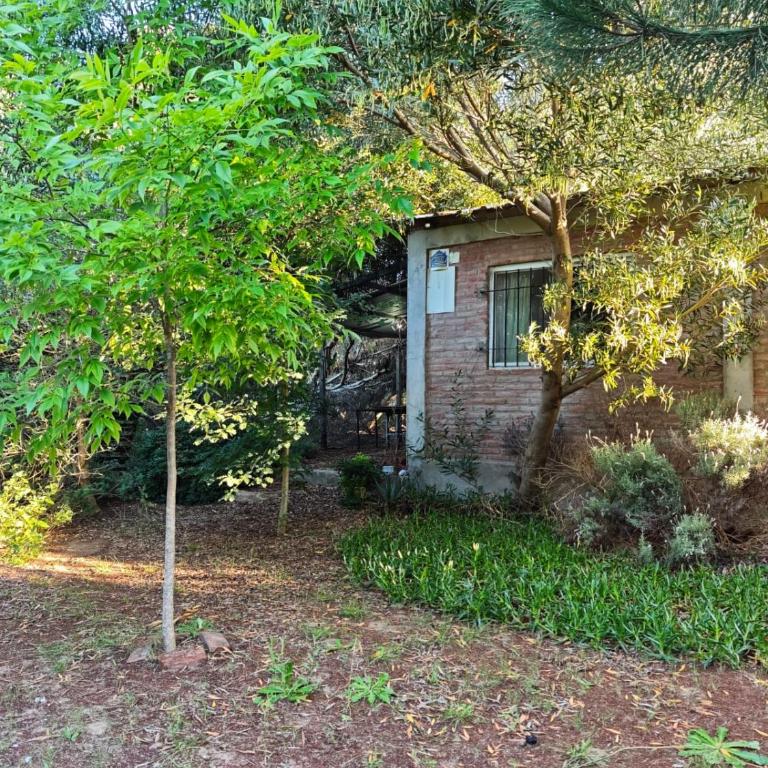 Hermoso Refugio del Bosque - One-Bedroom House - 17
